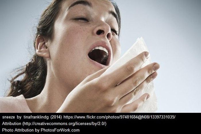 ___5273811___https:______static.pulse.com.gh___webservice___escenic___binary___5273811___2016___7___17___10___sneeze