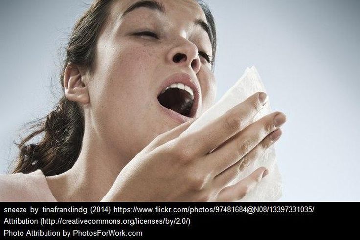 ___5273811___https:______static.pulse.com.gh___webservice___escenic___binary___5273811___2016___7___17___10___sneeze