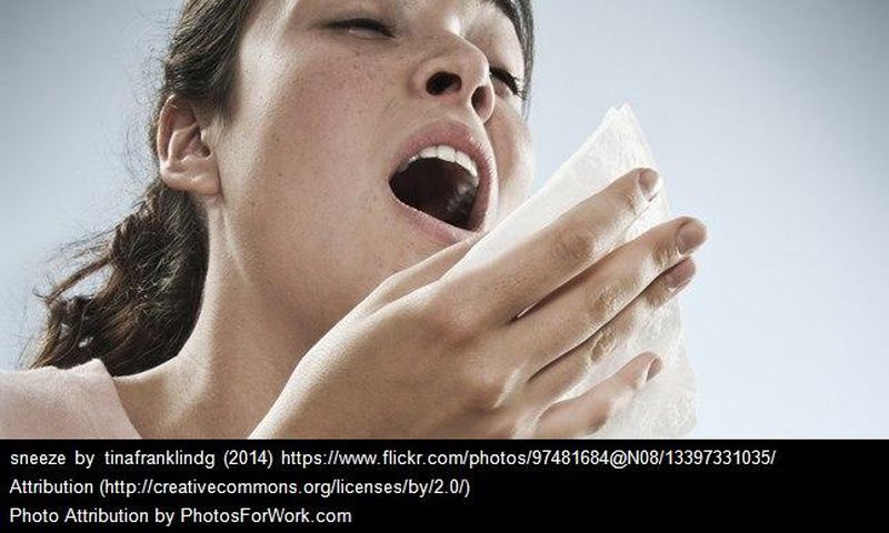 ___5273811___https:______static.pulse.com.gh___webservice___escenic___binary___5273811___2016___7___17___10___sneeze