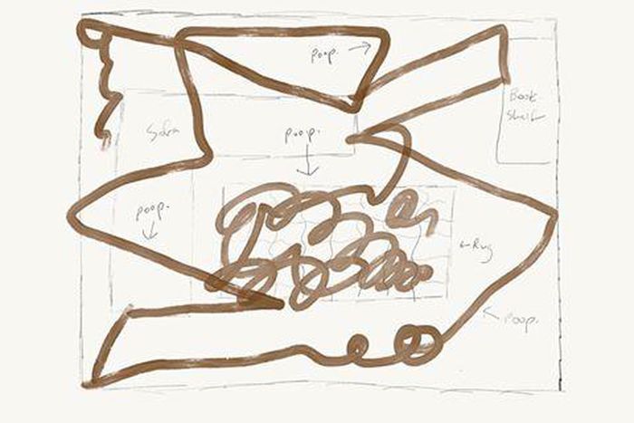 ___5380107___https:______static.pulse.com.gh___webservice___escenic___binary___5380107___2016___8___15___11___poop