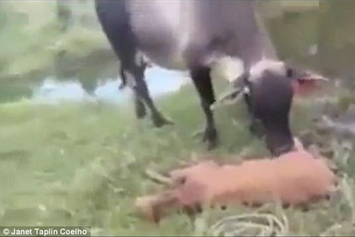 ___6783072___https:______static.pulse.com.gh___webservice___escenic___binary___6783072___2017___6___4___14___4018C5DB00000578-0-image-a-24_1494257506836_1