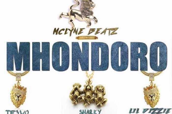 Mclyne Beatz teams up with Lil Dizzie on the track, 'Mhondoro'.