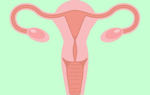 5 facts every woman should know about reproductive organs