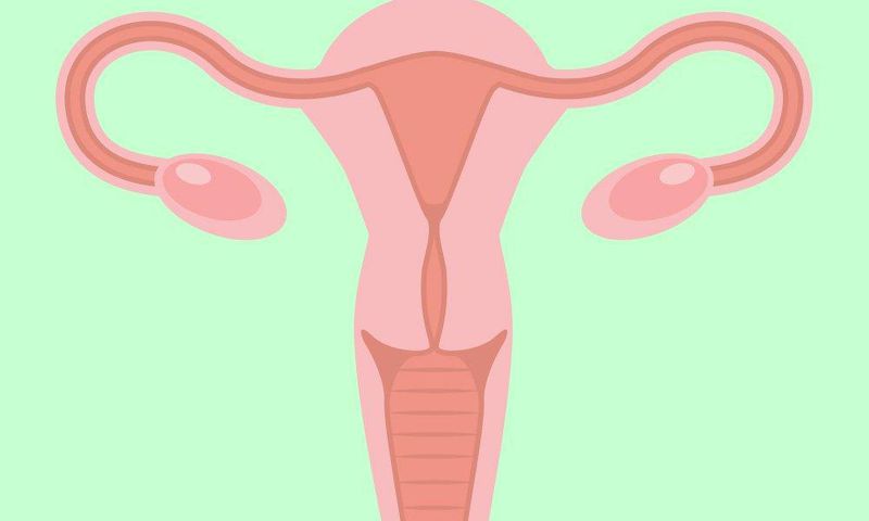 5 facts every woman should know about reproductive organs