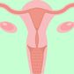 5 facts every woman should know about reproductive organs