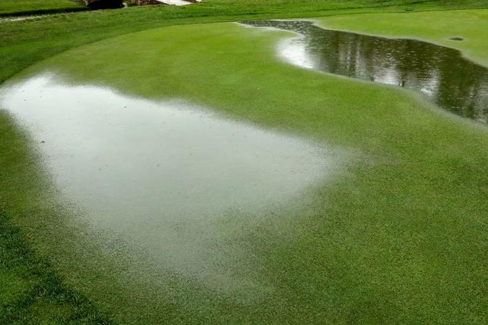 ___5326603___https:______static.pulse.com.gh___webservice___escenic___binary___5326603___2016___7___31___18___baltusrolraincropped_1pa4lppmus07j1n0xpleo2osug_2