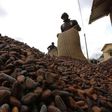 Men pour out cocoa beans to dry in Niable, at the border between Ivory Coast and Ghana, June 19, 2014.     REUTERS/Thierry Gouegnon