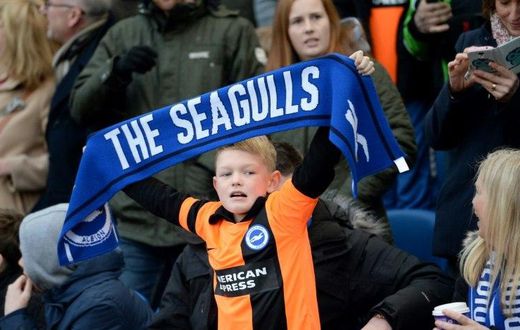 Brighton have spent 34 years outside the top flight of English football since they were relegated from the old First Division in 1983