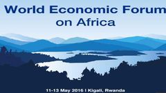 "We have to presume that the low (commodity) prices will be around for a long time,” IMF First Deputy Managing Director David Lipton said at a news conference at the World Economic Forum on Africa which is going on in Kigali, Rwanda.