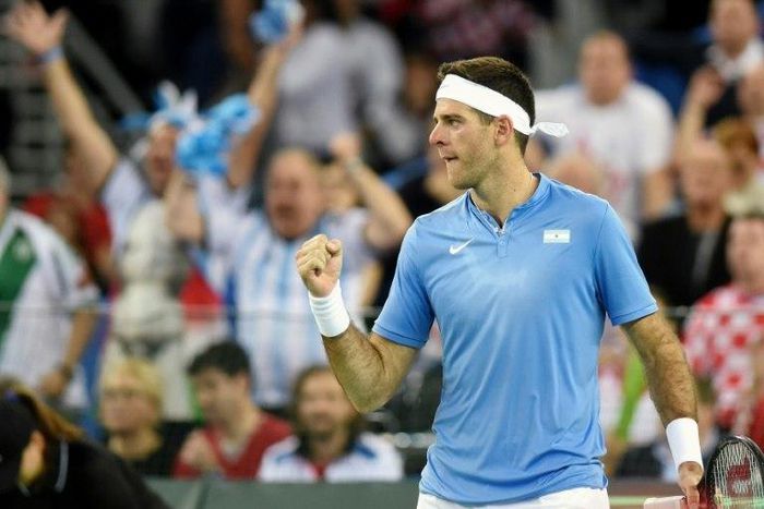 Argentina's Juan Martin del Potro, pictured in November 2016, withdrew from the Auckland Classic and Australian Open