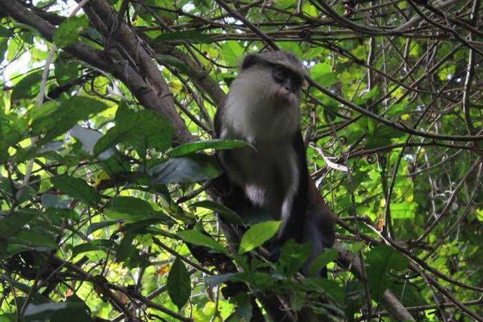 ___5172186___https:______static.pulse.com.gh___webservice___escenic___binary___5172186___2016___6___20___17___382357_10150558334974498_808904497_11356841_1138477041_n