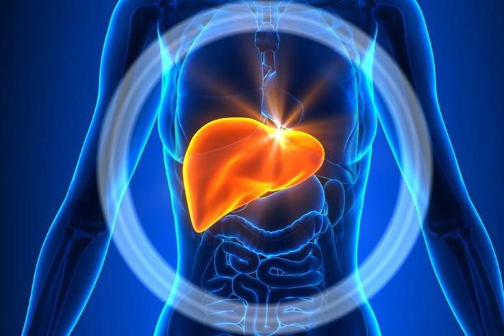 6 things you need to know about your liver that have nothing to do with alcohol