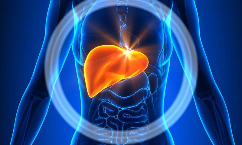 6 Things You Need to Know About Your Liver That Have Nothing to Do with Alcohol