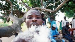 Indian Hemp could scatter the smoker's head