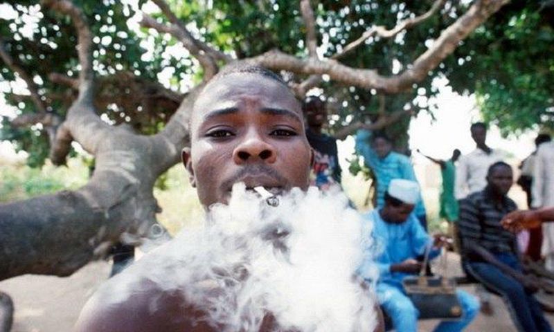 Indian Hemp could scatter the smoker's head