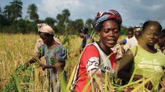 ___5112595___https:______static.pulse.com.gh___webservice___escenic___binary___5112595___2016___6___4___15___investing-african-agriculture