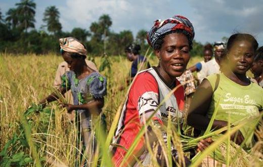 ___5112595___https:______static.pulse.com.gh___webservice___escenic___binary___5112595___2016___6___4___15___investing-african-agriculture