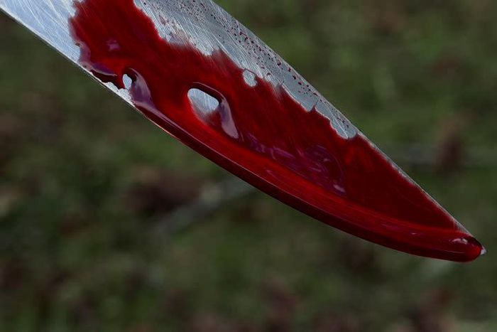 ___6289058___https:______static.pulse.com.gh___webservice___escenic___binary___6289058___2017___2___27___12___1