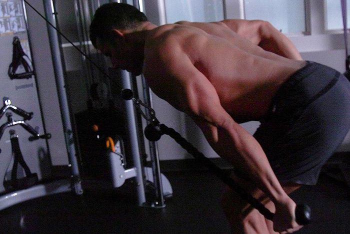 triceps pushback