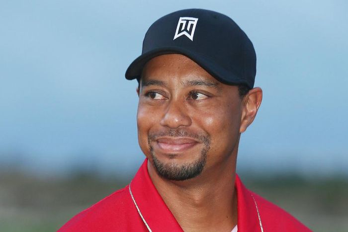 ___4724081___https:______static.pulse.com.gh___webservice___escenic___binary___4724081___2016___6___22___21___tigerwoods-cropped_19lxalb38p10e1gsohky2vtwof_2
