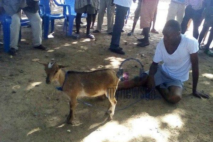 ___6749145___https:______static.pulse.com.gh___webservice___escenic___binary___6749145___2017___5___28___20___file6v4pyuohb2emwh07ldf