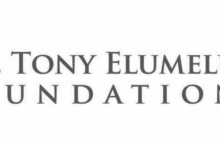 ___5885547___https:______static.pulse.com.gh___webservice___escenic___binary___5885547___2016___12___12___12___tonyelumelufoundation