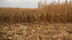Dry Season in Ghana
