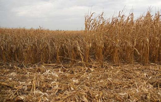 Dry Season in Ghana