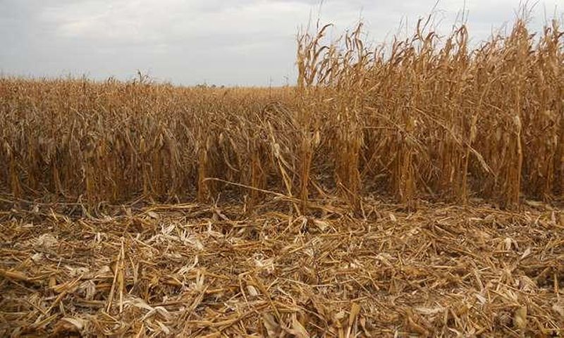 Dry Season in Ghana