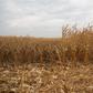Dry Season in Ghana