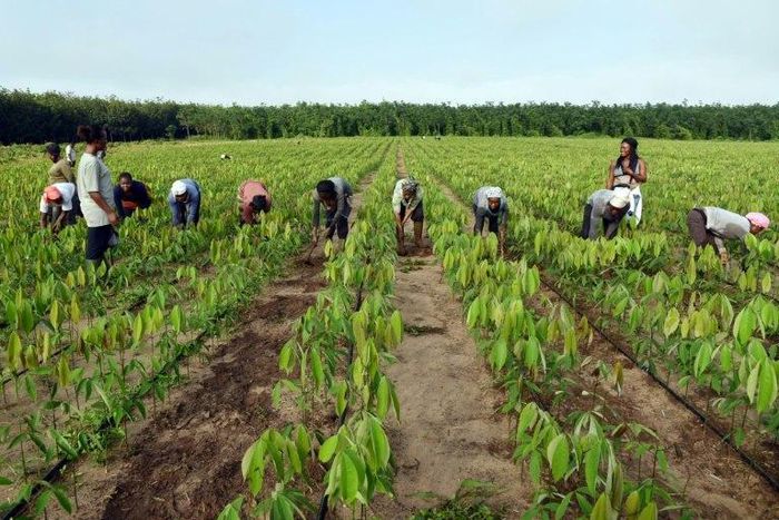 For 2016, the IMF expects Ivory Coast's real GDP to grow at around eight percent over the year