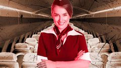 10 secrets flight attendants won't tell you