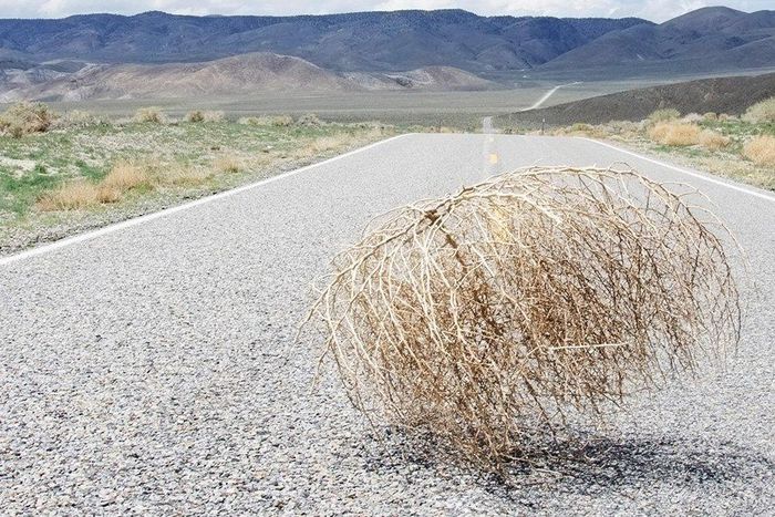 what men do during sexual drought