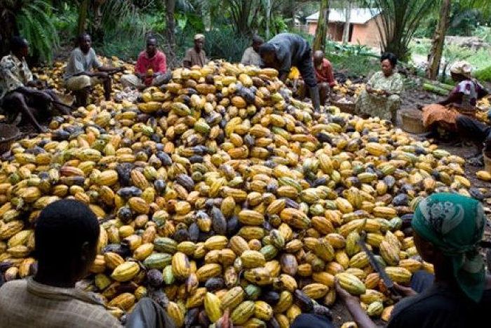 ___6823739___https:______static.pulse.com.gh___webservice___escenic___binary___6823739___2017___6___12___16___file6vcccuj5zwxu2ap152e