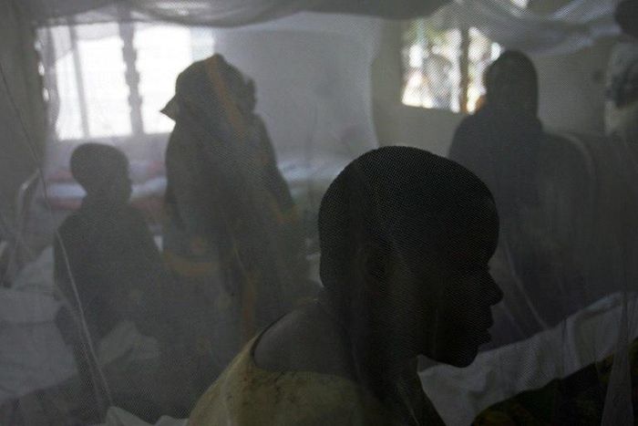 From January 1 to March 10 this year, 1.8 million malaria infections were registered in Burundi, according to the WHO