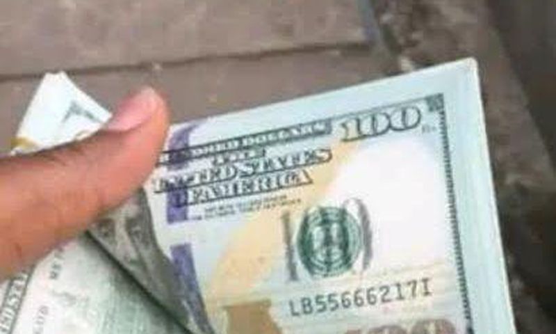 The fake dollars