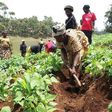 Pressure mounts on gov’t to scrap 12.5% tax on agribusiness