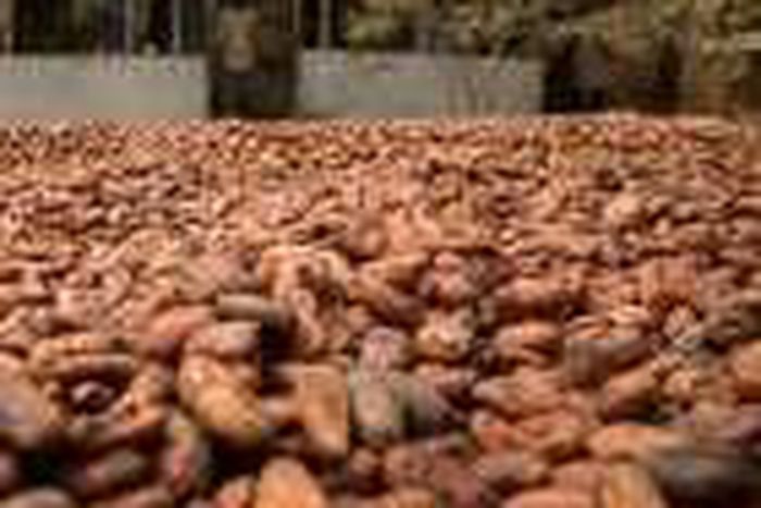 ___5381321___https:______static.pulse.com.gh___webservice___escenic___binary___5381321___2016___8___15___15___127050252-focusonaf-409291c