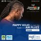 Pappy Kojo - #TGMN16 banner