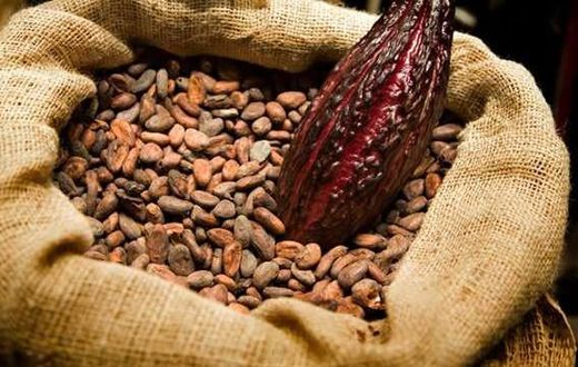 ___5989770___https:______static.pulse.com.gh___webservice___escenic___binary___5989770___2017___1___4___10___Cocoa_1