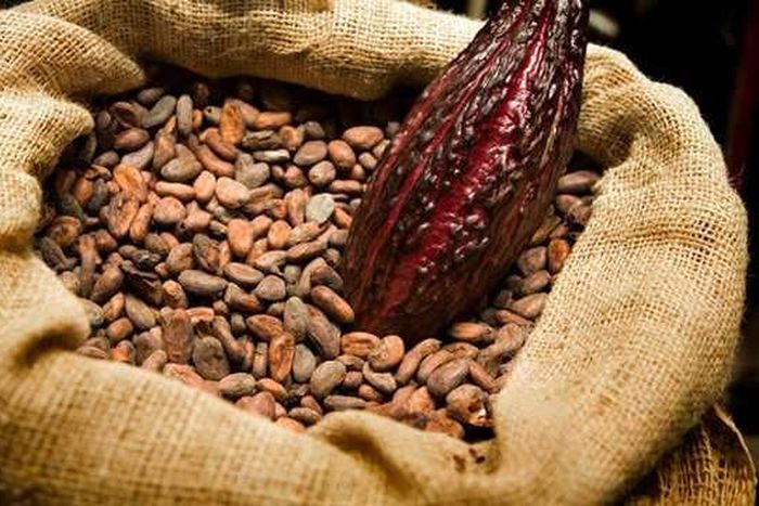 ___5989770___https:______static.pulse.com.gh___webservice___escenic___binary___5989770___2017___1___4___10___Cocoa_1