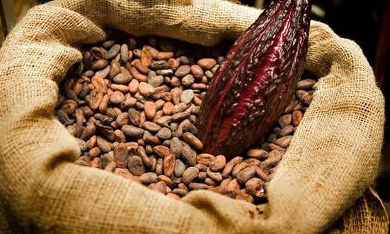 ___5989770___https:______static.pulse.com.gh___webservice___escenic___binary___5989770___2017___1___4___10___Cocoa_1