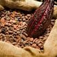 ___5989770___https:______static.pulse.com.gh___webservice___escenic___binary___5989770___2017___1___4___10___Cocoa_1