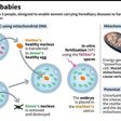 Explanation of IVF using mitochondrial DNA donation, which is designed to allow women carriers of hereditary diseases to have healthy, genetically-related children