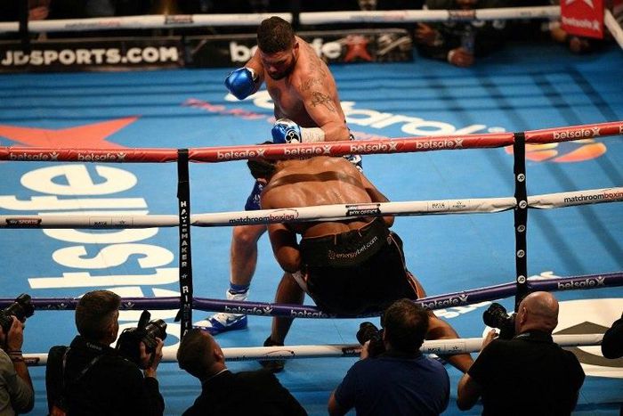 British boxer Tony Bellew (top) punches British Boxer David Haye through the ropes to win their heavyweight boxing match at the O2 arena in London on March 4, 2017