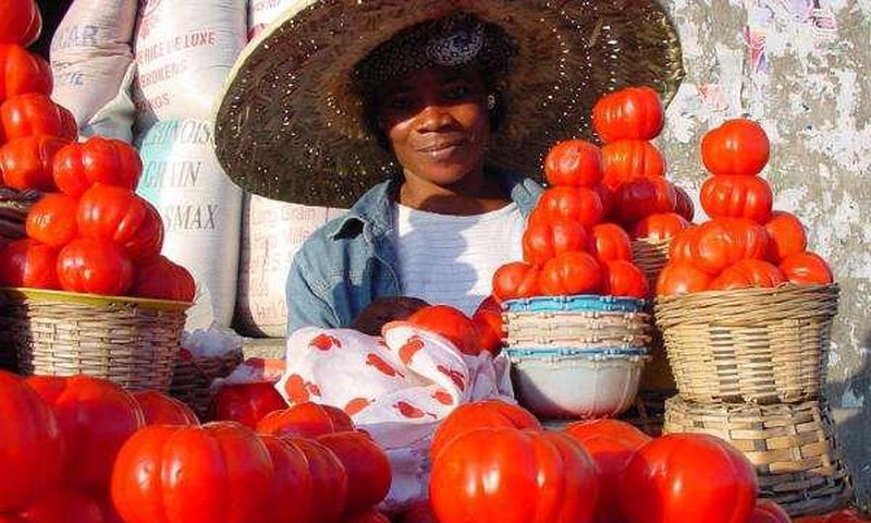 ___5368657___https:______static.pulse.com.gh___webservice___escenic___binary___5368657___2016___8___11___16___Tomato-Pix