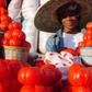 ___5368657___https:______static.pulse.com.gh___webservice___escenic___binary___5368657___2016___8___11___16___Tomato-Pix