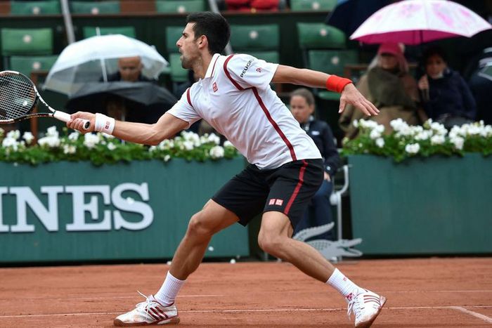 ___5095278___https:______static.pulse.com.gh___webservice___escenic___binary___5095278___2016___5___31___17___novak-djokovic-cropped_cwghmp36q1ho1vg8u19pj9hiu