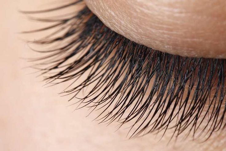 ___5120769___https:______static.pulse.com.gh___webservice___escenic___binary___5120769___2016___6___7___8___8-Natural-Remedies-To-Get-Beautifully-Long-Eyelashes