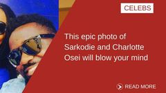 ___6496223___https:______static.pulse.com.gh___webservice___escenic___binary___6496223___2017___4___7___15___SARK